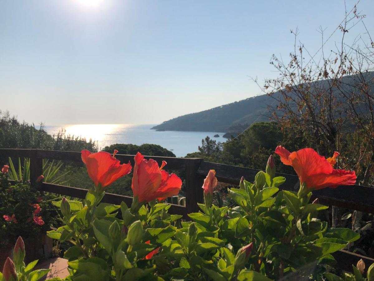 Case Dei Limoni Sul Mare Каполивери Екстериор снимка