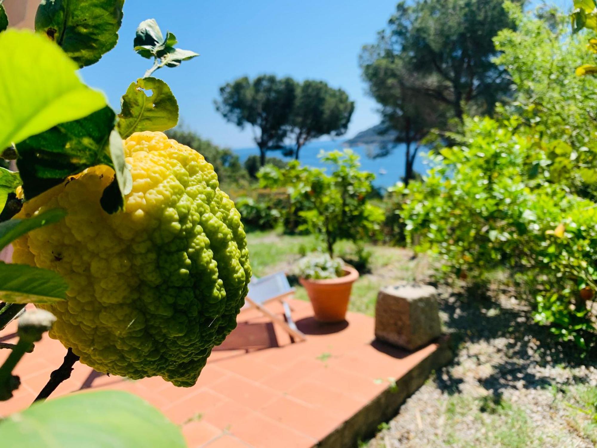 Case Dei Limoni Sul Mare Каполивери Екстериор снимка