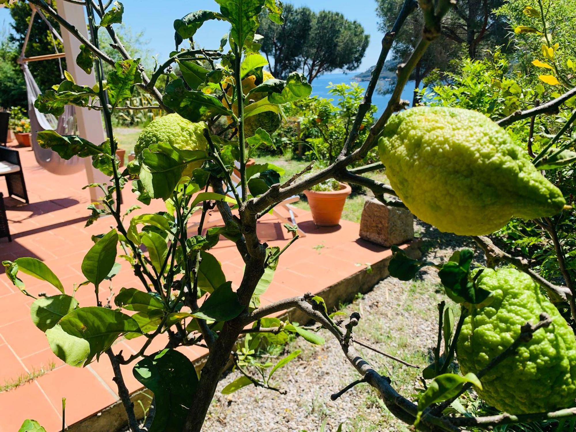 Case Dei Limoni Sul Mare Каполивери Екстериор снимка